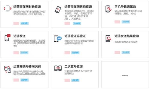 個人信息0緩存, 安心驗 多維度數據服務讓數據安全無憂