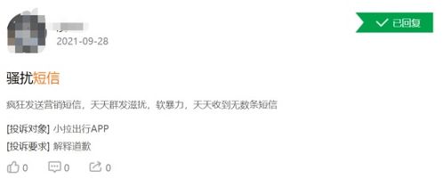 臨近 雙十一 ,你還能清靜嗎