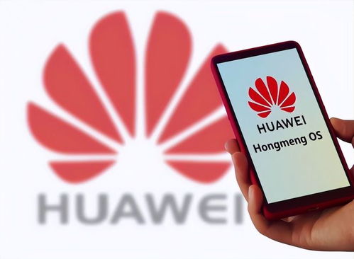 鼎橋和華為智選,毀了華為